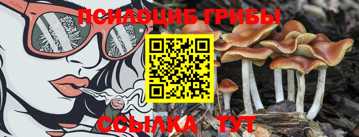 Псилоцибиновые грибы Magic Shrooms Отрадное